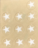 TEN 1/2&quot; clear circle White Star award decals